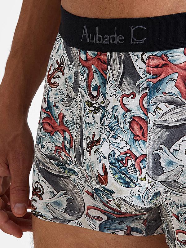 Aubade by Camille Lacourt kokvilnas apakšbikses šorti "Timothy White - Multicolor"